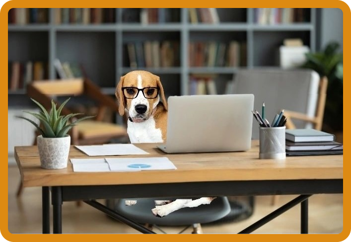 Harper the beagle sits at desk with glasses on